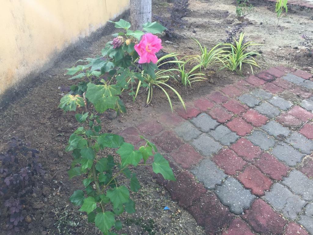 The Garden Vacation Home Lumut Exterior photo